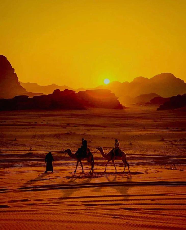 Magic Desert Rose *